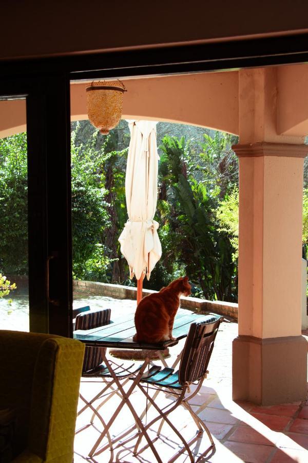 Southern Light Country House Cape Town Ngoại thất bức ảnh