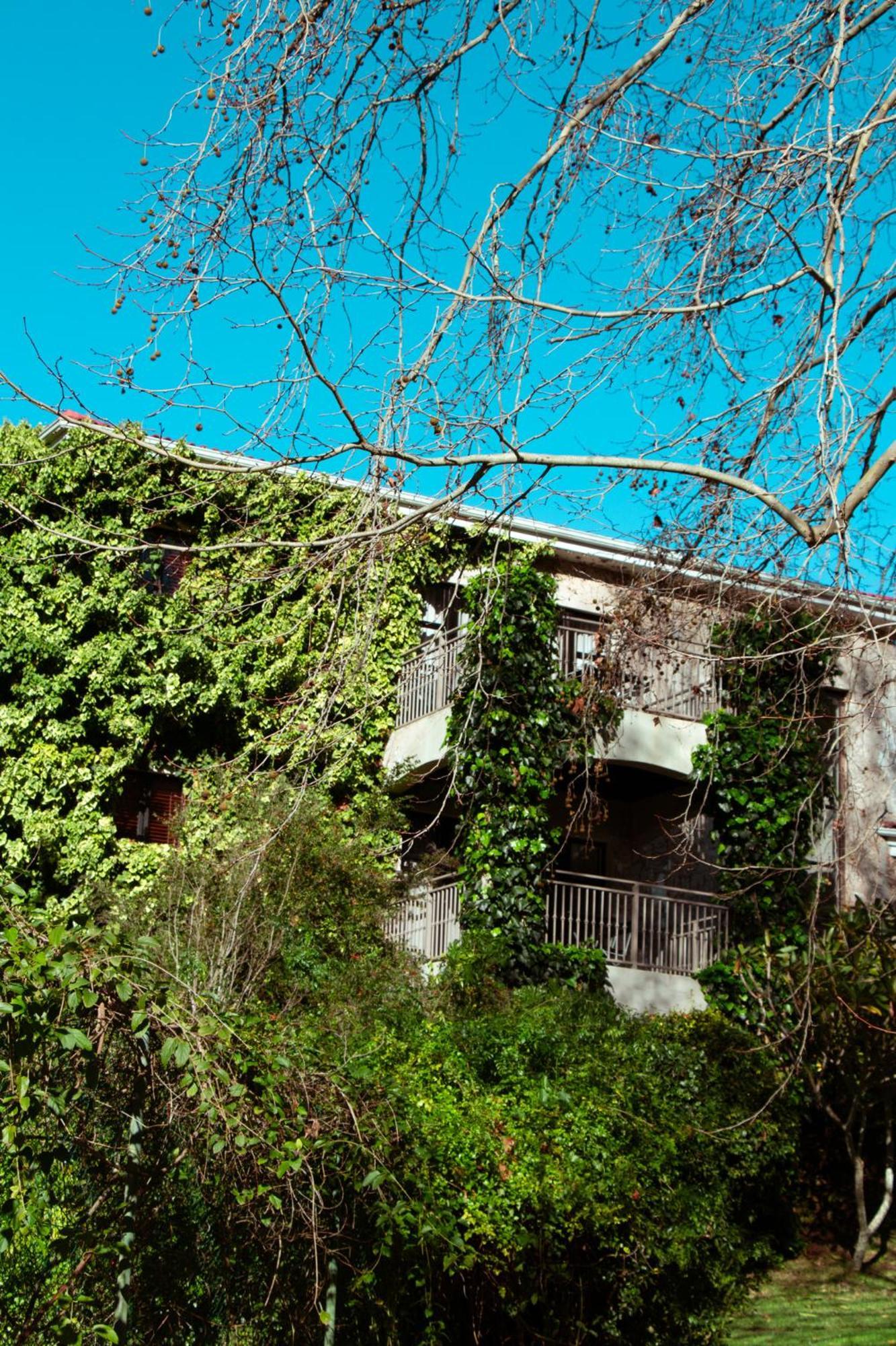Southern Light Country House Cape Town Ngoại thất bức ảnh